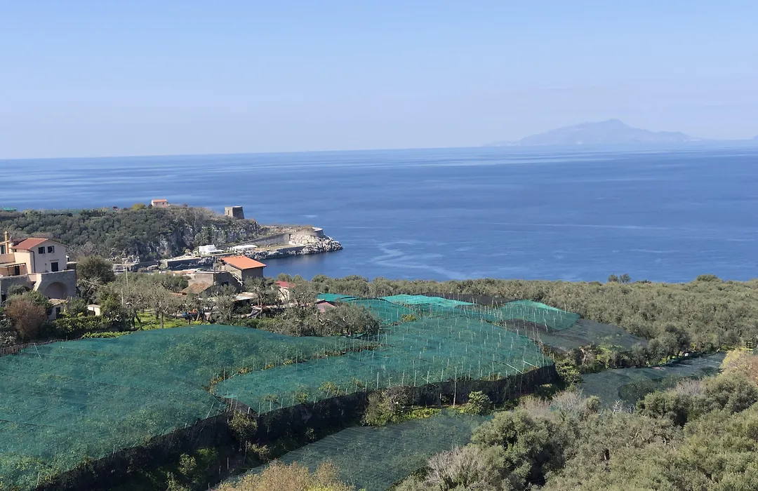 Hotel Dania-1